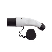 Fiche type 2 mâle Fiche type 2 mâle